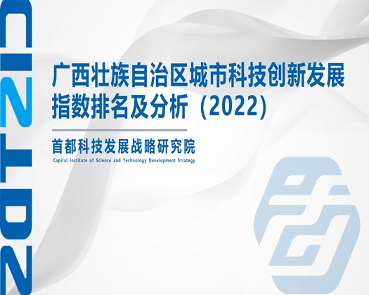 操穴后入视频【成果发布】广西壮族自治区城市科技创新发展指数排名及分析（2022）